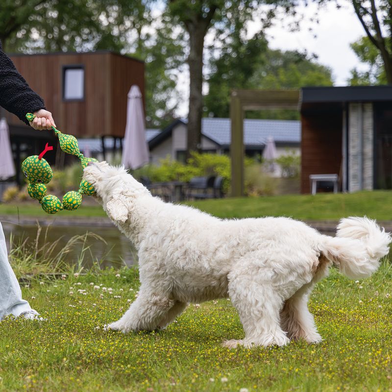 Beeztees Ballo Snake Dog Toy 80 x 10 x 6.5cm (L x W x H)