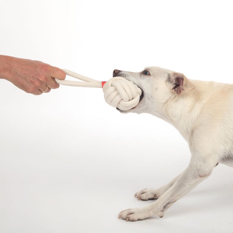 TIAKI Dog Toy Rope Ball with Handle L 23 x Ø 8,3 cm