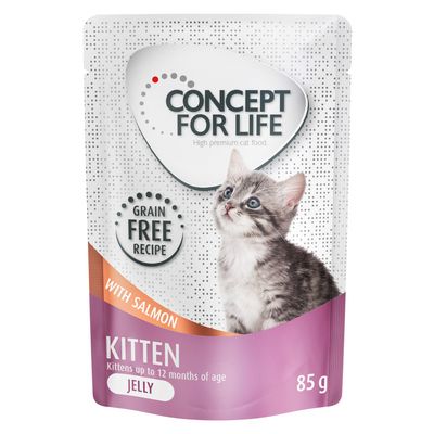 Concept for Life Kitten Salmon Grain-Free - in Jelly 12 x 85g