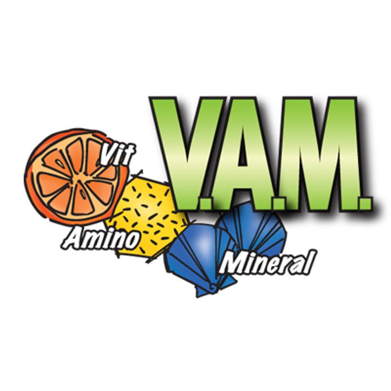 Prestige Premium Parrot Mix 10kg