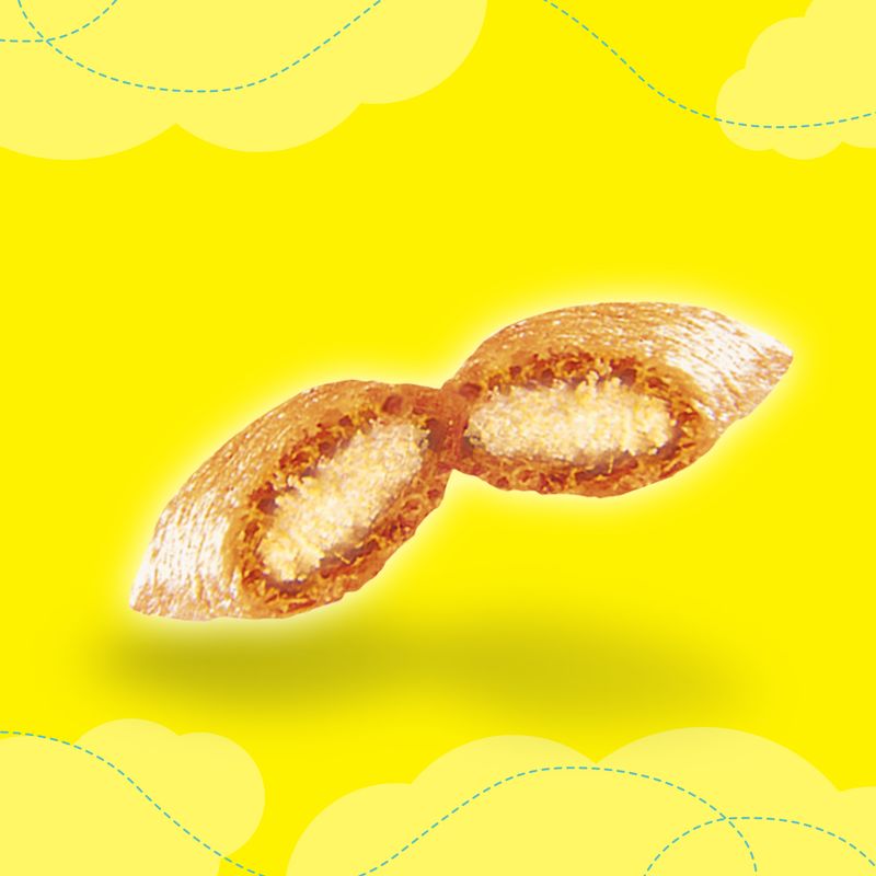 Dreamies Variety Snack Box 12 x 60g