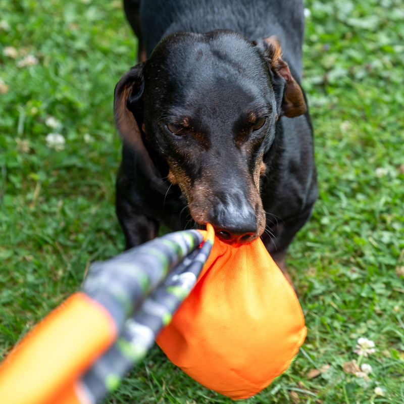 TIAKI Dog Toy Throwing Ball with Catching Tail approx. diameter 8 x (L) 85 cm