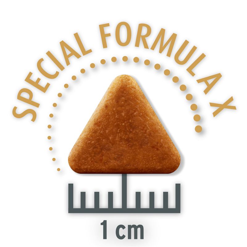 Concept for Life Economy Packs Sterilised Cats - Salmon (2 x 10 kg)