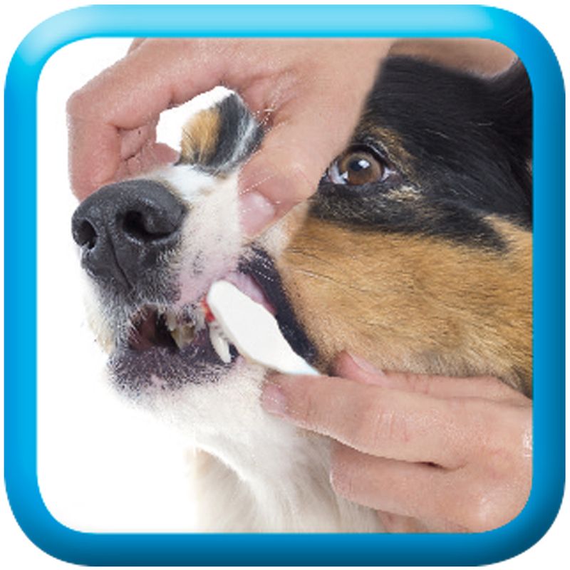 beaphar Toothbrush 1 toothbrush