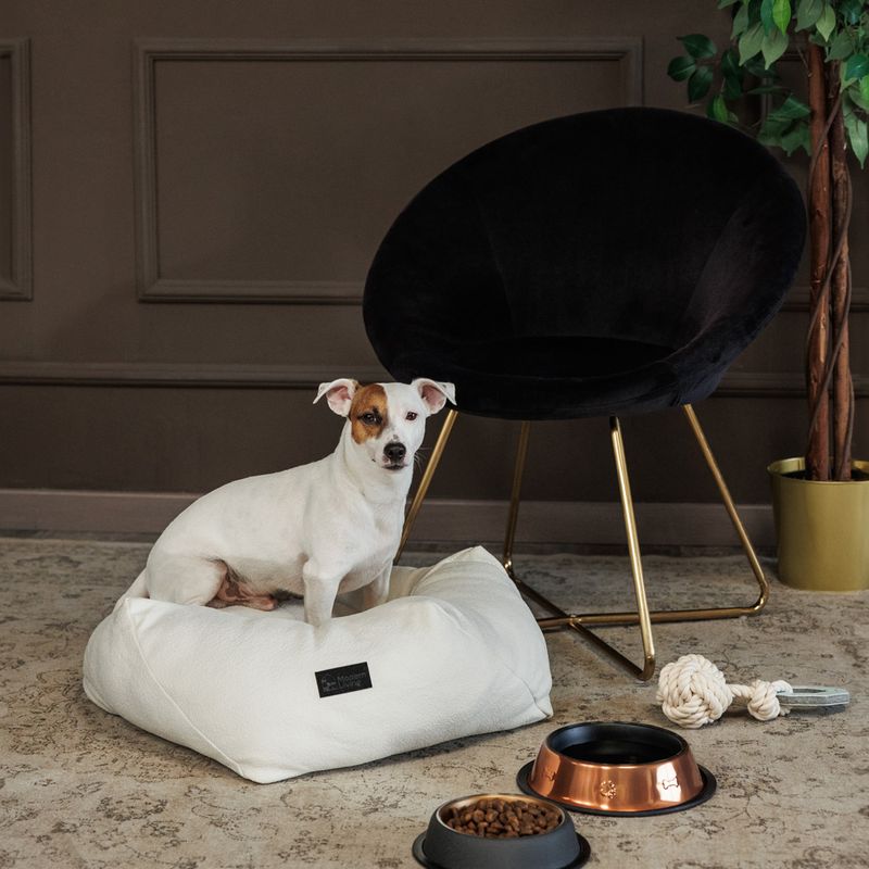 Modern Living Maipu Food Bowl 200ml (15.5cm diameter)