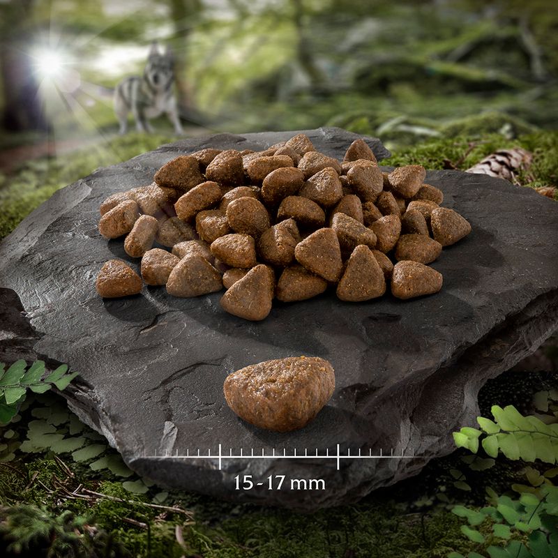 Wolf of Wilderness Sensitive Adult \