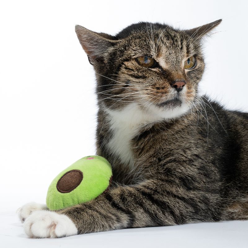 zooplus Basics Avocado Catnip Toy 1 Toy
