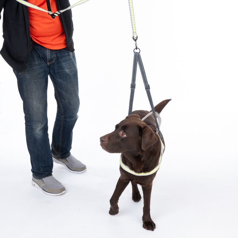 TIAKI Double Bungee Lead Extension Length: approx. 40-70cm