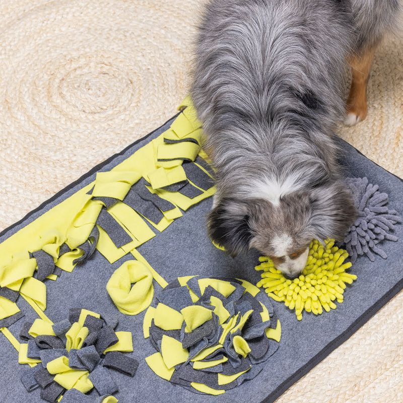 Beeztees Flora Sniff Mat 1 Toy
