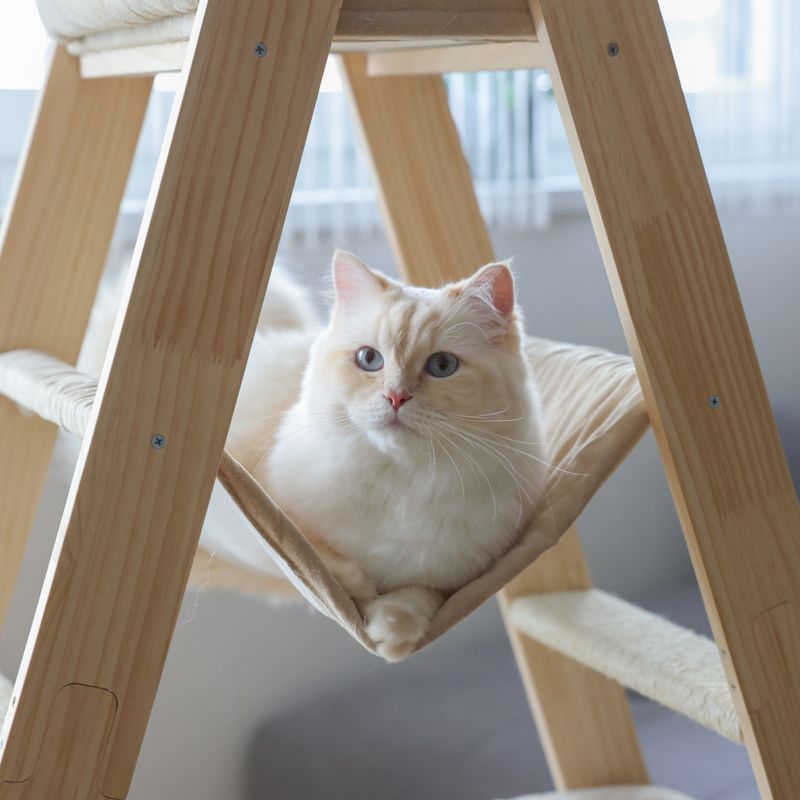 Kerbl Pet Ladder Scratching Post Beige