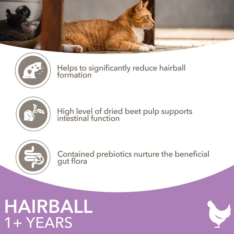 IAMS Advanced Nutrition Hairball with Chicken 3kg