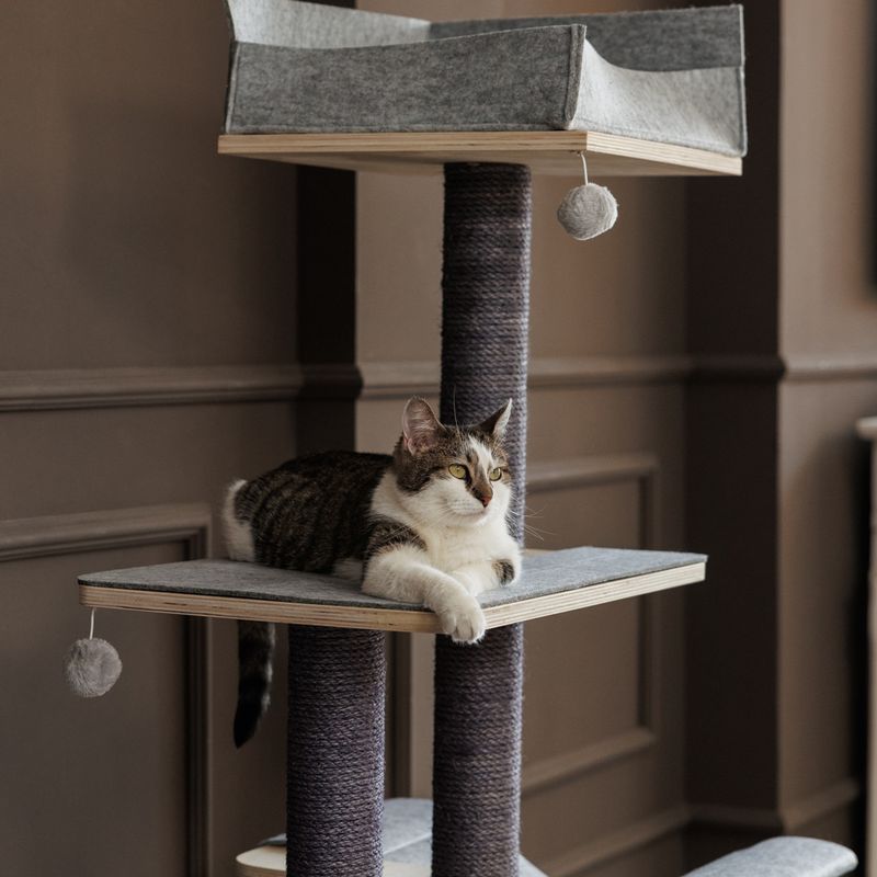 Raleigh Scratching Tree Grey