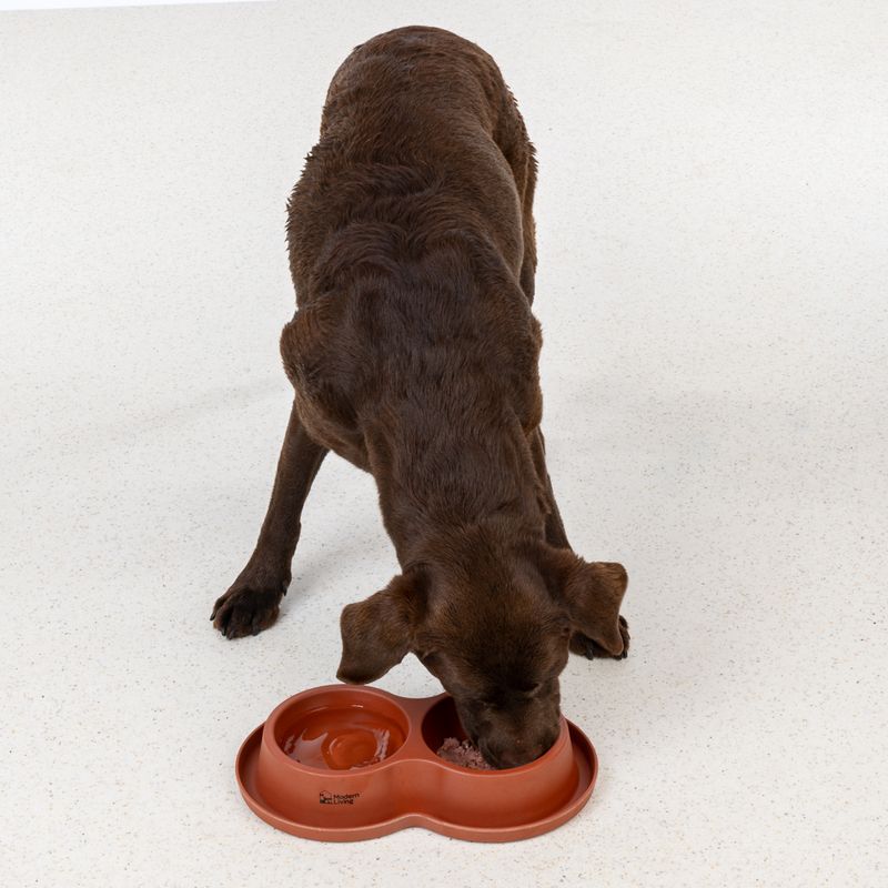 Modern Living Fujian Double Bowl 2 x 550ml