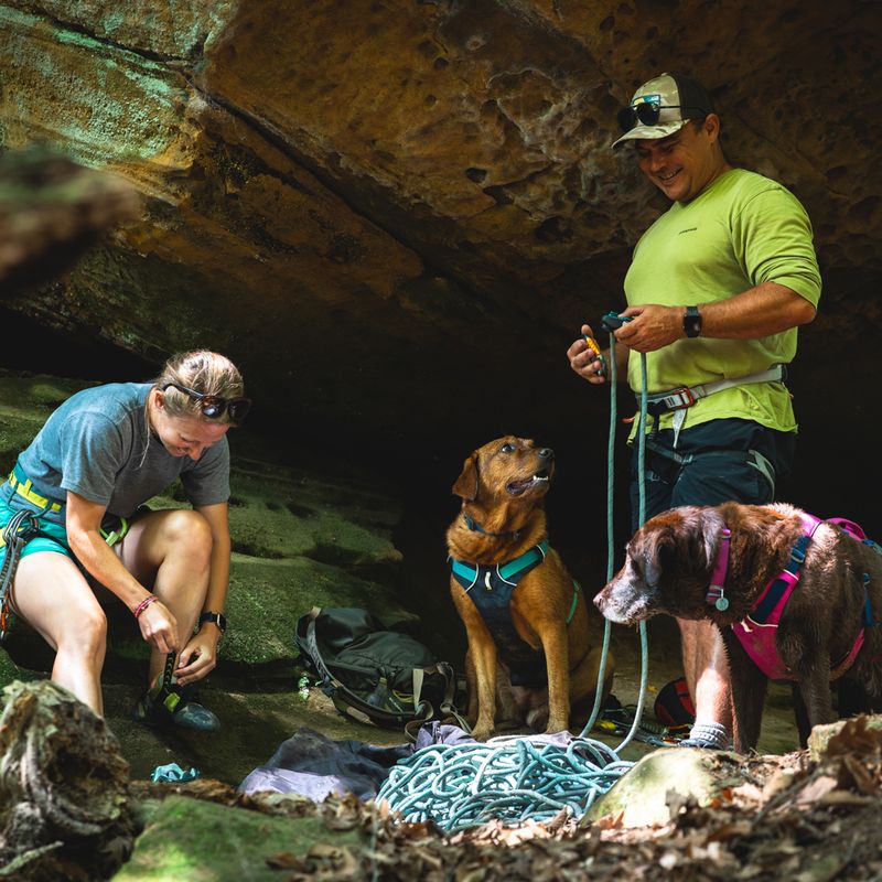 Ruffwear Flagline Dog Harness - Basalt Grey Size S: 56 - 69cm Chest Circumferance