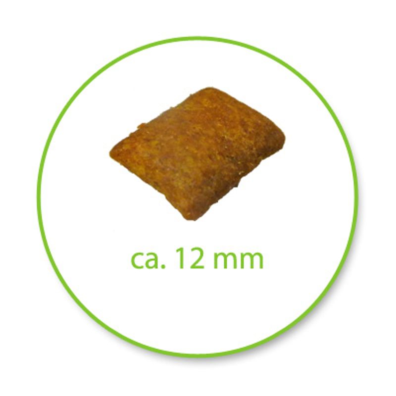 Royal Canin Ageing 12+ 2kg