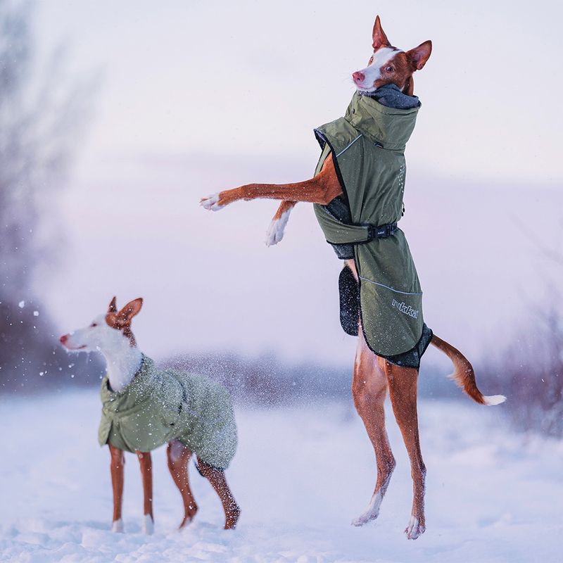Rukka® Warmup Dog Coat - Olive approx. 80cm back length