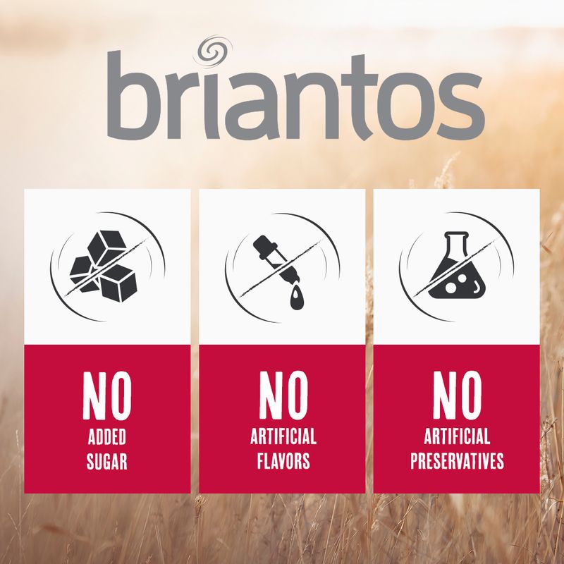 Briantos Adult Active 14kg