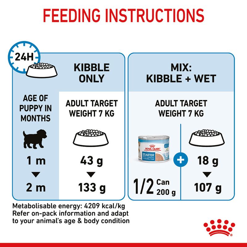 Royal Canin Mini Starter Mother & Babydog 4kg