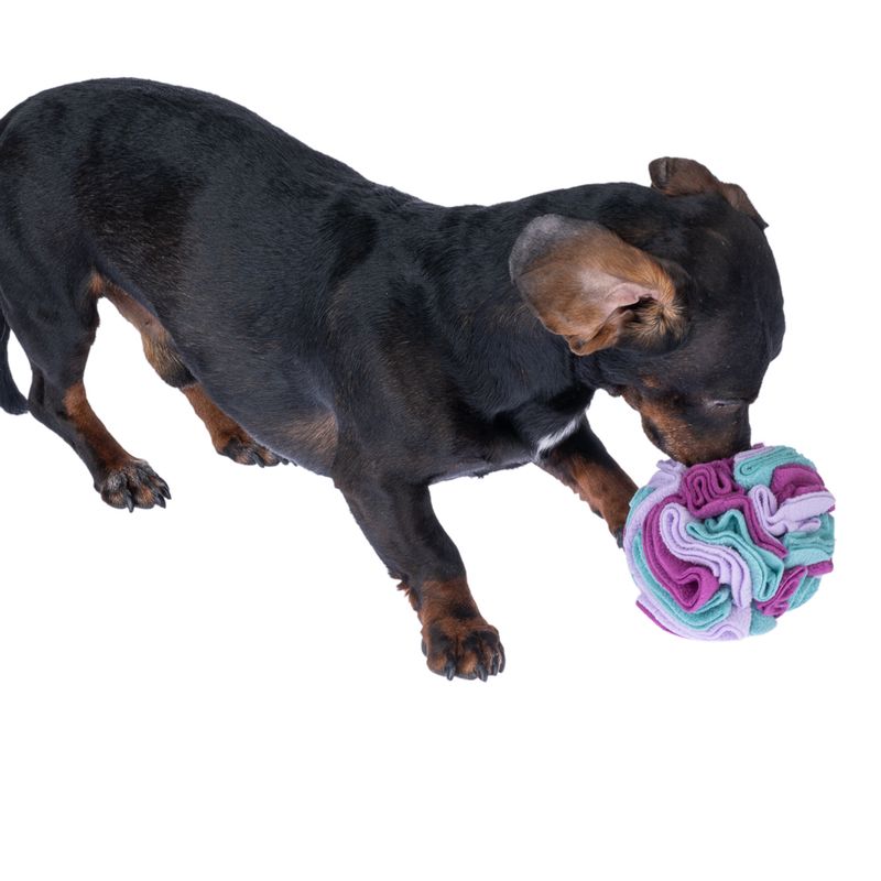 zooplus Basics Sniffer Ball Dog Toy approx. diameter 11cm