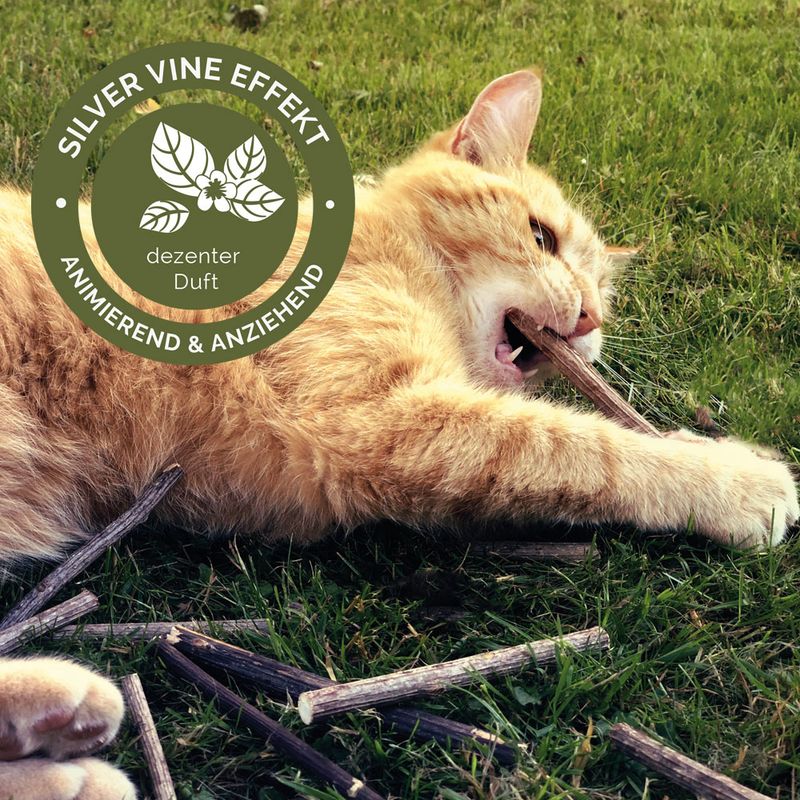 Aumüller Silver Vine Cat Sticks 1 Set (10 Sticks)