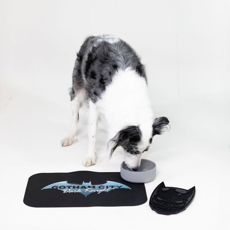 DC Batman Gotham City Dog Placemat 45 x 30cm (L x W)