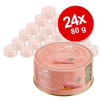 Saver Pack Terra Felis Complete 24 x 80 g Rabbit