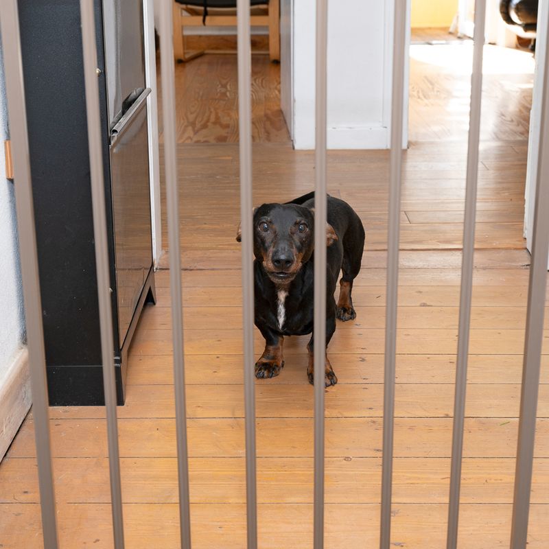 TIAKI Brown Dog Gate with Side Panel 78 x 77 - 103cm (H x W)