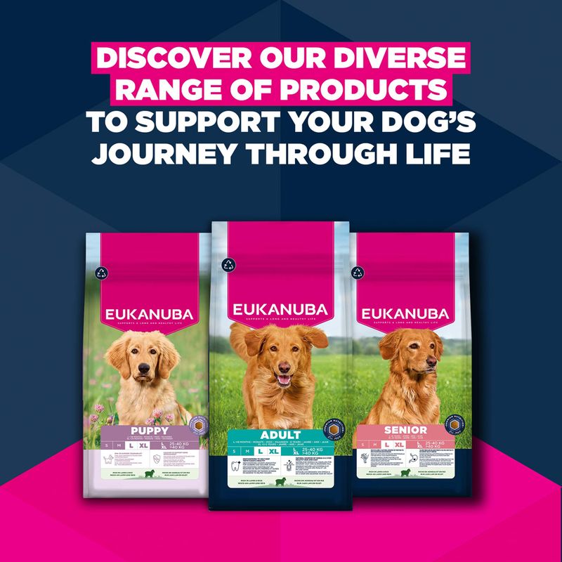 Eukanuba Premium Nutrition Senior Large & Giant Breed Lamb & Rice 12kg