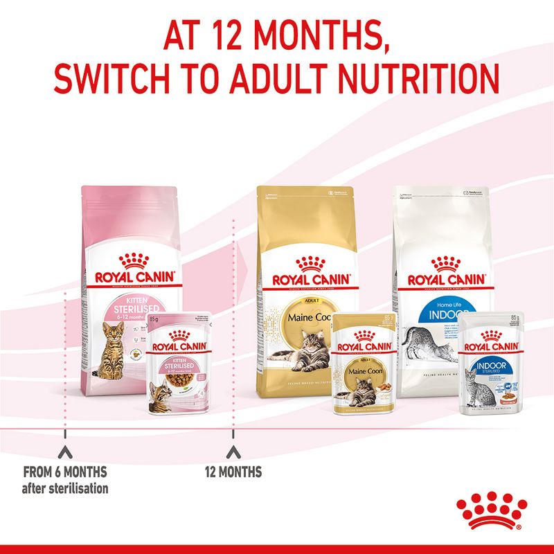 Royal Canin Sterilised Kitten in Gravy 12 x 85g