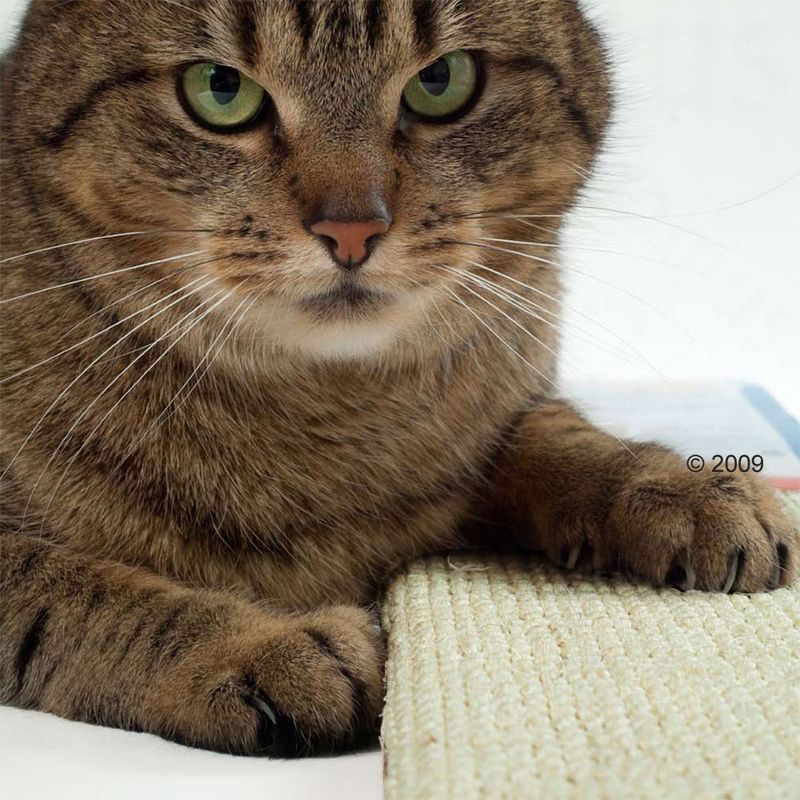 Trixie Sisal Cat Scratching Board 70 x 17 cm