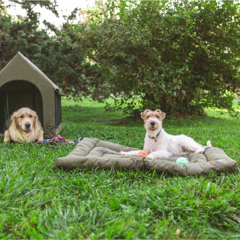 Nomad Tales Spirit Outdoor Dog Cushion Pine 74 x 46 x 7 cm (L x W x H)