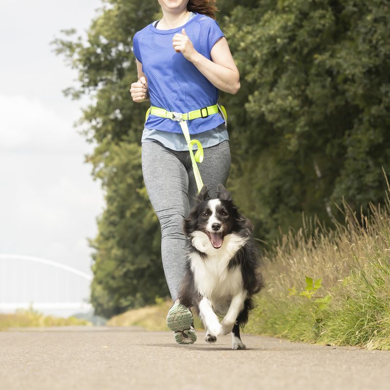 FLAMINGO Jogging Harness with Leash Hip Circumference 80 - 140cm