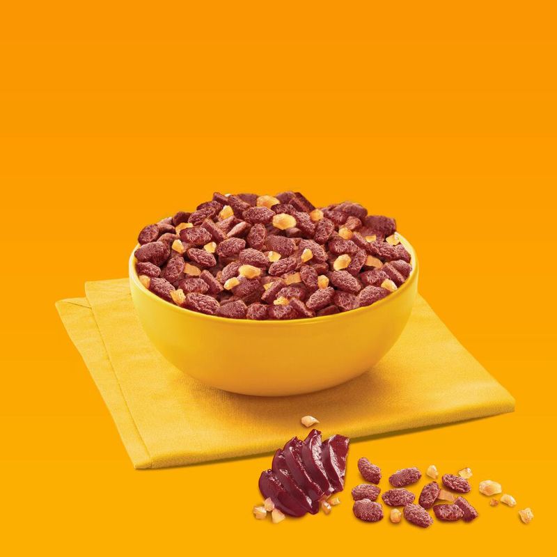 Pedigree Senior Pouch in Jelly Multipack Mixed Pack (12 x 100g)