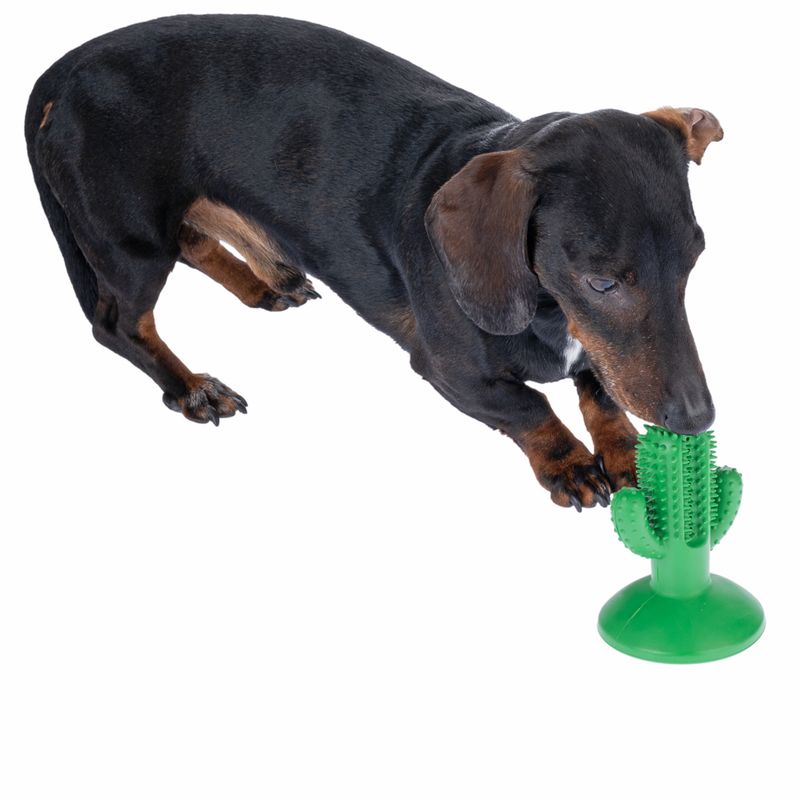 TIAKI Rubber Cactus Chew Toy diameter 9.5 x (H) 12 cm