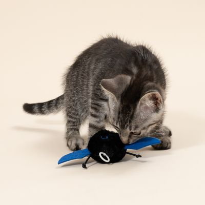 TIAKI Vibrating Bat with Retracting Pull String Cat Toy 1 Toy