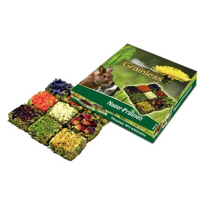 JR Farm Grainless Rodent Chocolates 2 x 125 g