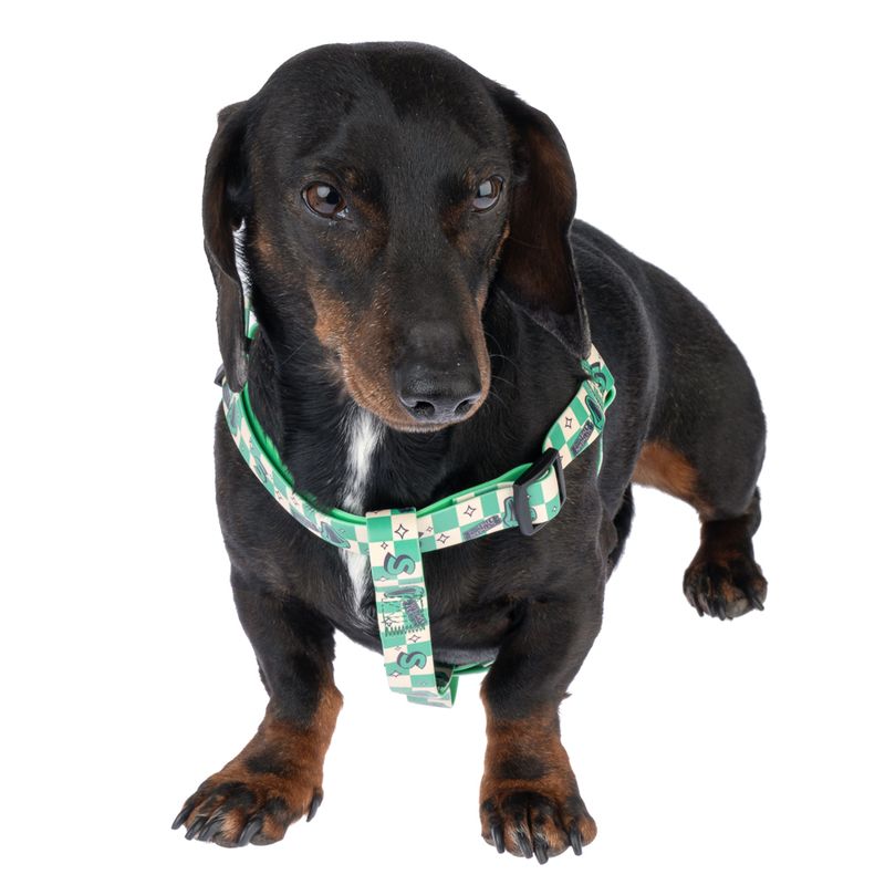 Harry Potter Slytherin Harness - Green Size S: Chest Circumference 39 - 51 cm