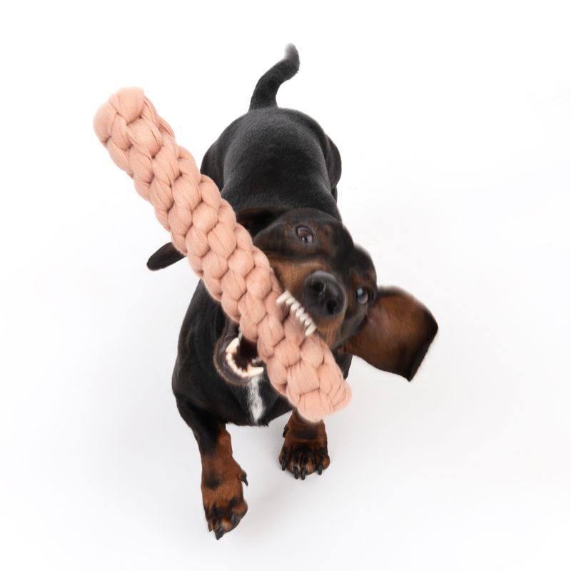 Modern Living Tarifa Dog Toy 4 x 24.5cm (diameter x L)