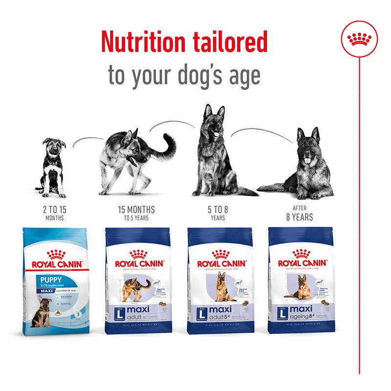 Royal Canin Maxi Adult 5+ 15kg