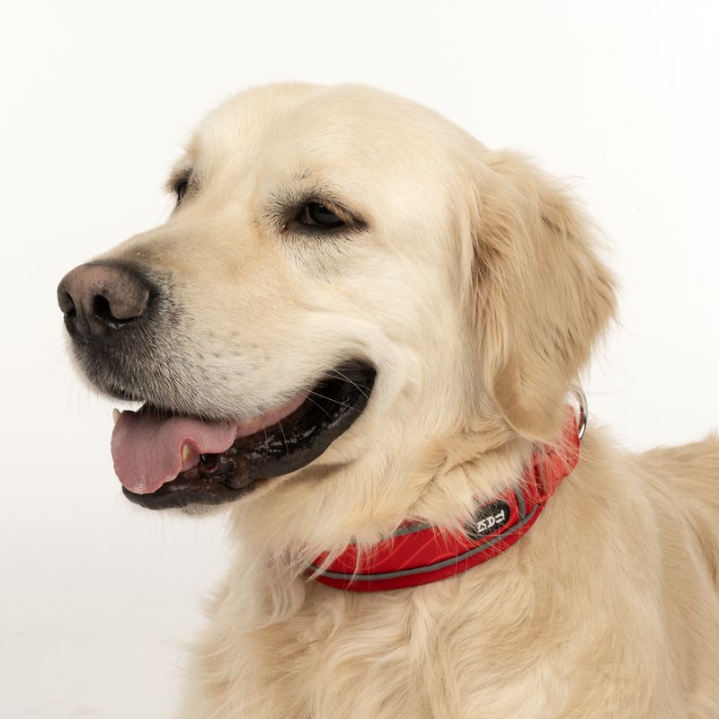 TIAKI Collar Soft & Safe, red Size XS: 25 - 35 cm neck circumference, W 40 mm