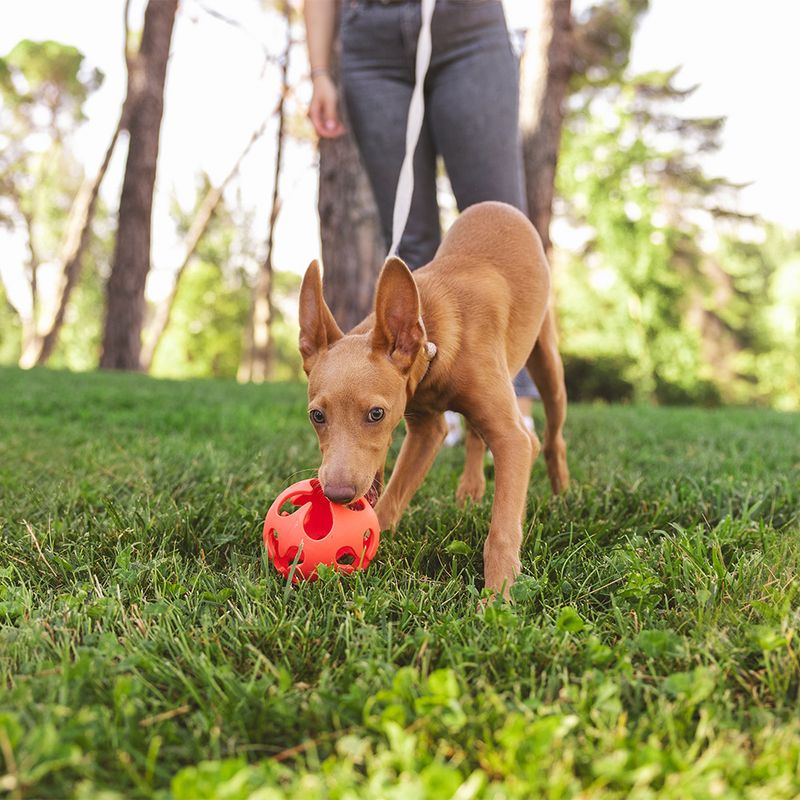 Nomad Tales Bloom Hole Ball Ø 10 cm