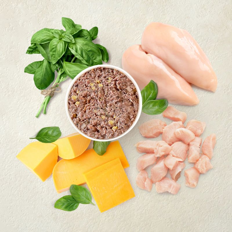 Feringa Selected Recipes 6 x 200g Cheddar Pesto Chicken