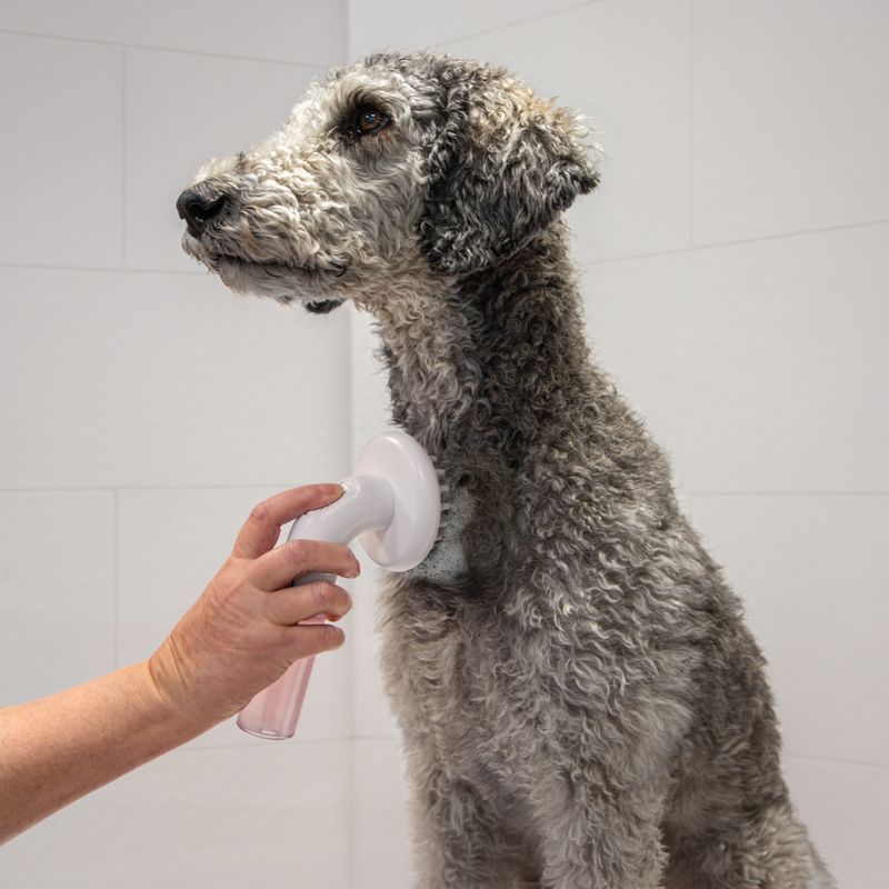 kooa Bathing Brush for Dogs 1 Brush