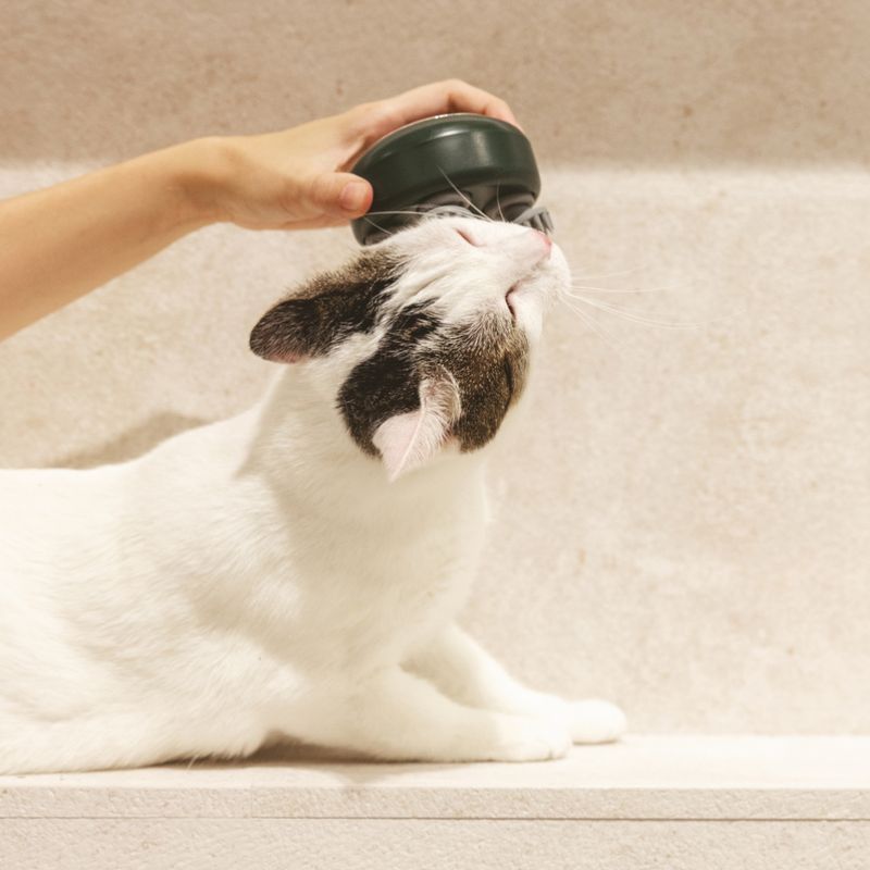 kooa Massager approx. 9.5 x 7cm (diameter x H)