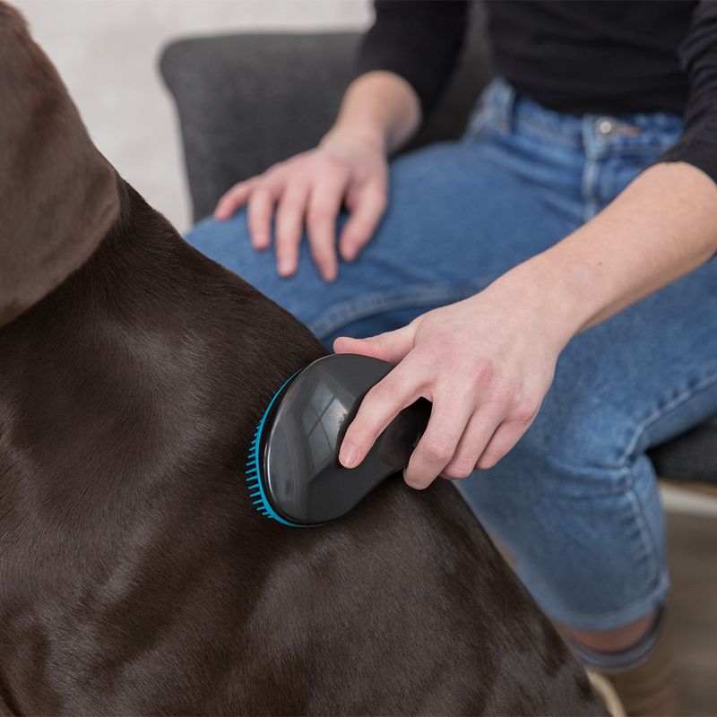 Trixie Soft Brush approx. 19cm (L)