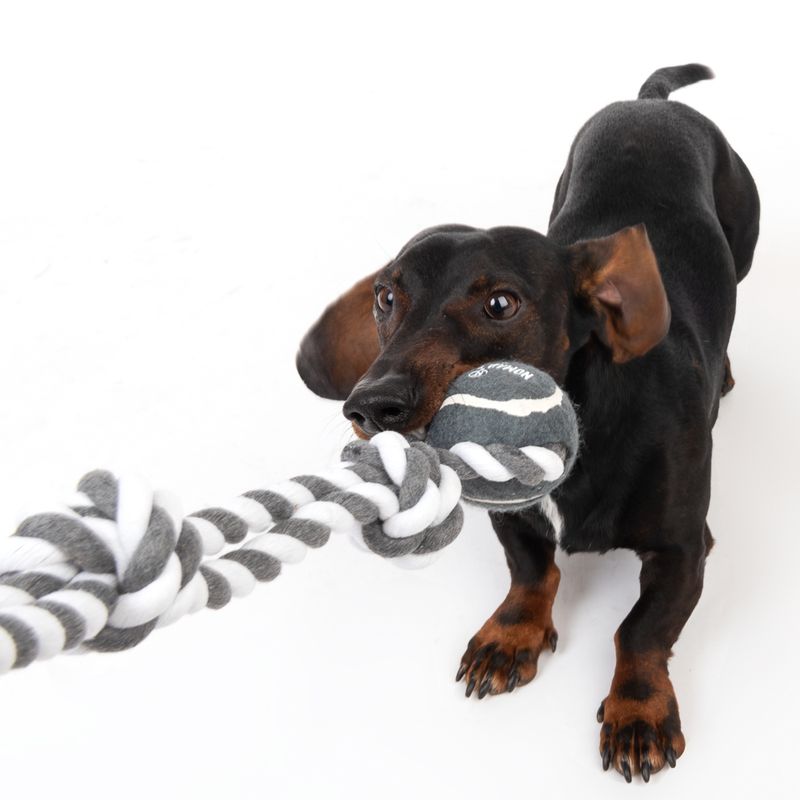 Nomad Tales Spirit Play Rope with Ball 1 Toy