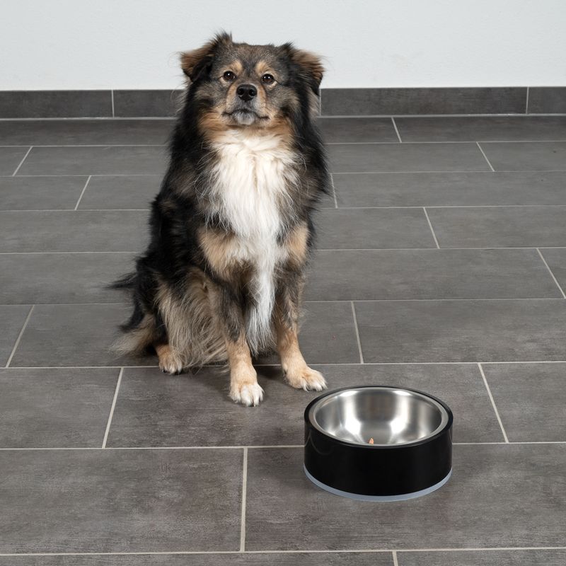 Modern Living Bilbao Dog Bowl 1.2l