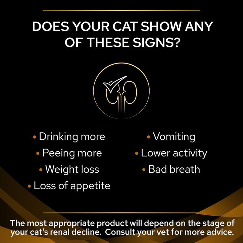 PURINA PRO PLAN Veterinary Diets Feline NF Advanced Care Salmon 10 x 85 g