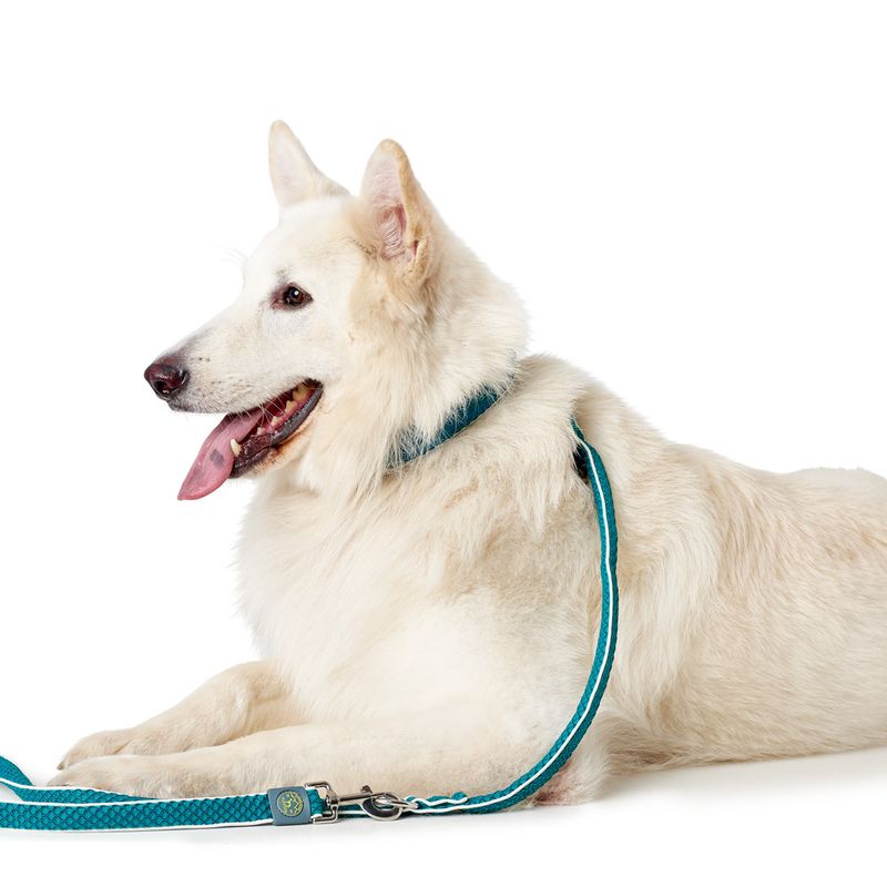 HUNTER Adjustable Lead Hilo - Turquoise 200cm x 20mm (L x W)