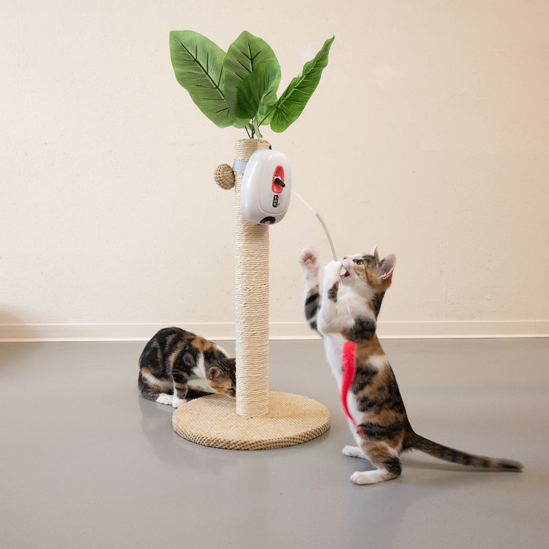 TIAKI Interactive Jumping Cat Toy 1 Toy